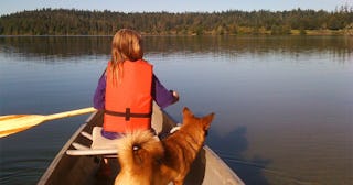 Maybe Forced Family Fun Is The Pandemic Prescription We Need: child and dog in boat