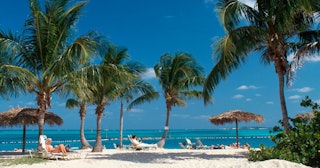Bahamas, Nassau, Cable Beach with Palms