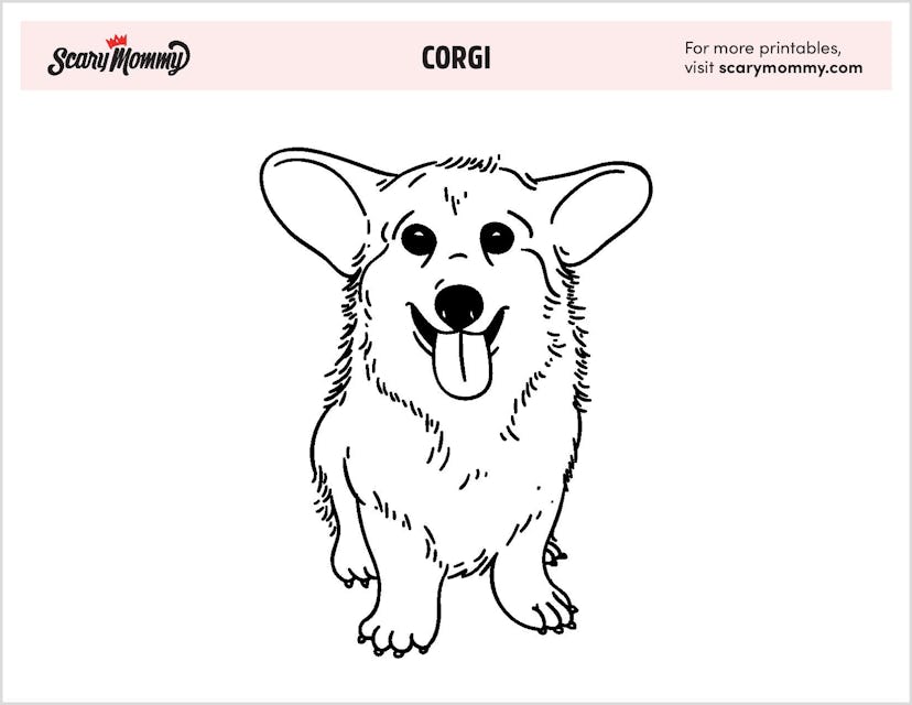 Puppy Coloring Pages: Corgi