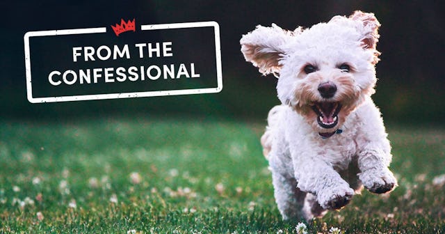 How We Really Feel About Our Dogs: dog running on grass