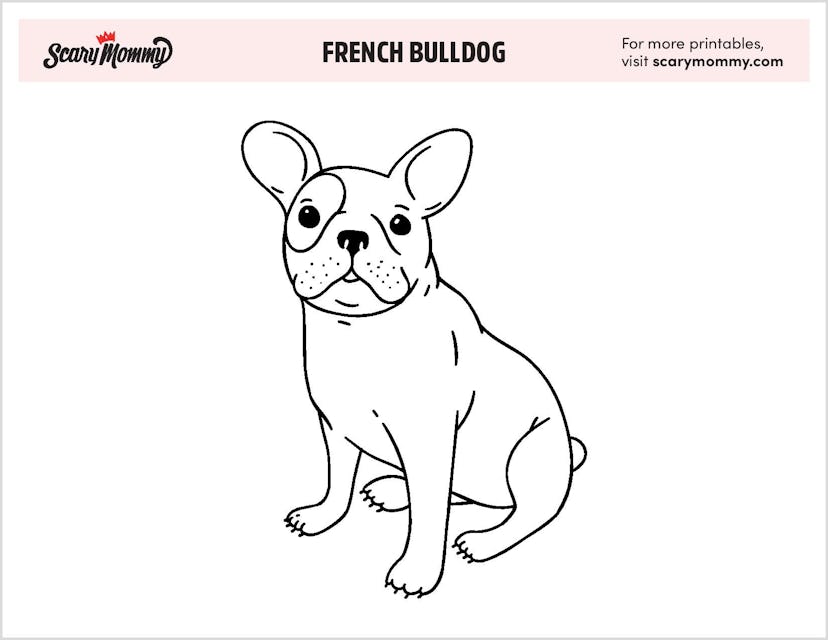Puppy Coloring Pages: French Bulldog