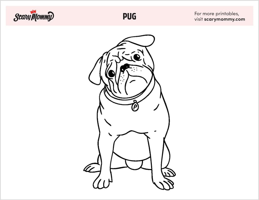 Puppy Coloring Pages: Pug