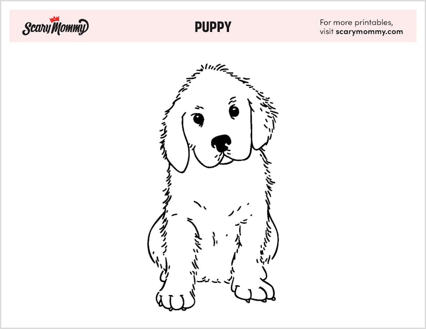 Puppy Coloring Pages: Puppy