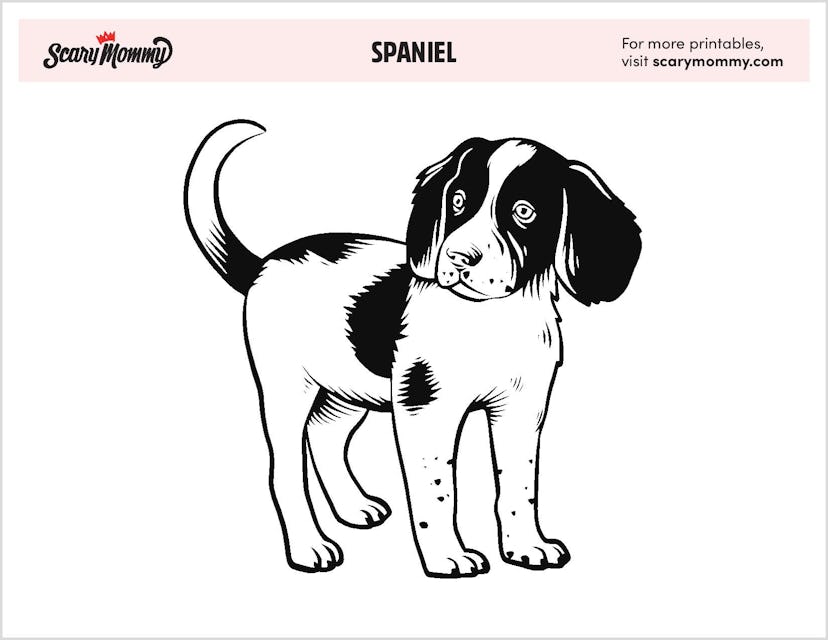 Puppy Coloring Pages: Spaniel