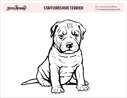 Staffordshire Terrier Coloring Page