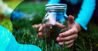 Where Are The Fireflies?: Cropped hands of boy holding glass jar with firefly on grassy field