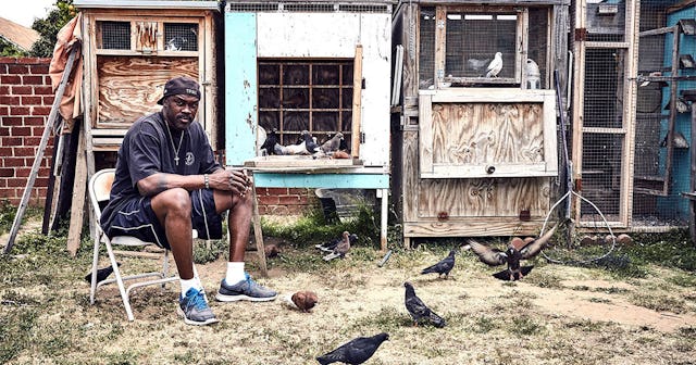 Pigeon Kings Was Not What I Was Expecting And I Couldn’t Stop Watching