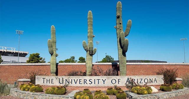 A sign in front of some cacti mark one of the entrances to the University of Arizona, in Tucson, Ari...