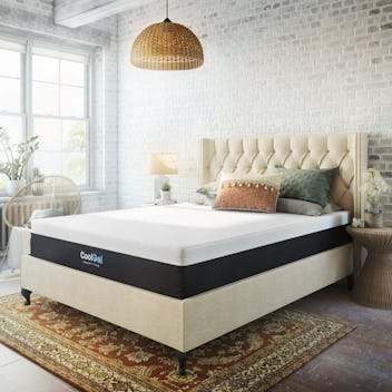 Wayfair Cool Gel 12" Medium Gel Memory Foam Mattress