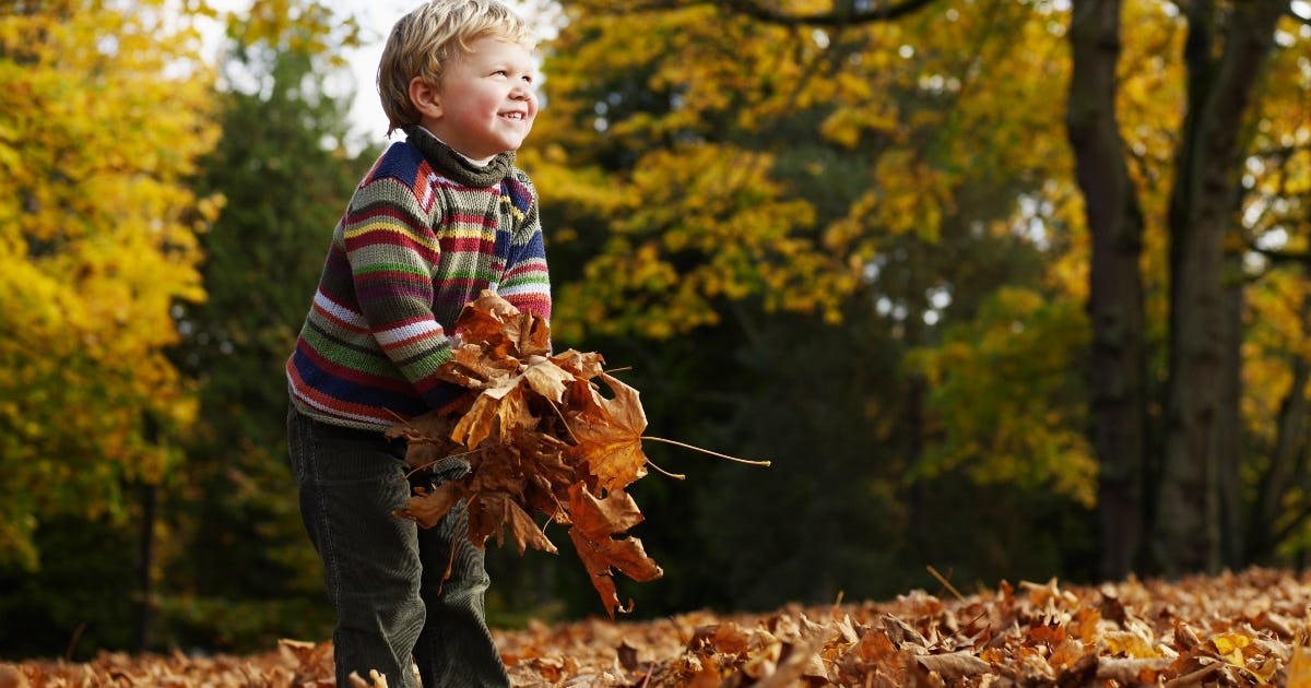 24 Exciting Fall Activities For Preschoolers That Prove Autumn Is The Best