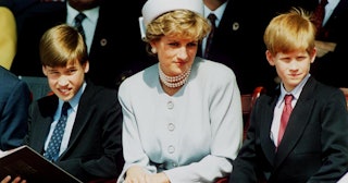 Prince William Princess Diana Prince Harry