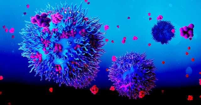 t-cells