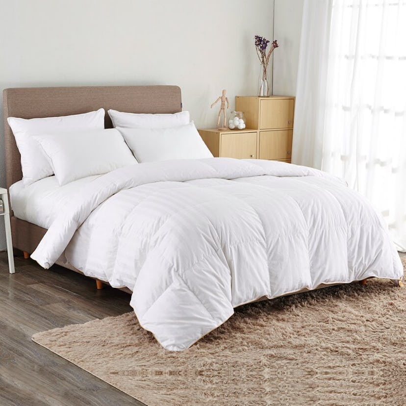 Alwyn Home All Season Goose Down Comforter