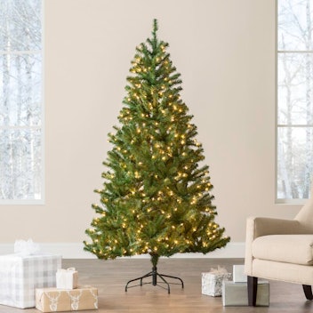Beachcrest Home™ 6' 6" Norwood Fir Green Spruce Artificial Christmas Tree with White Lights
