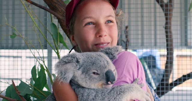 Izzy's Koala World Is Your Kids' New Favorite Show