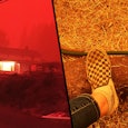 My Family Was Trapped By The West Coast Wildfires