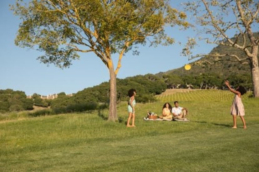 Two girls play frisbee while their parents sit on a picnic blanket in a field