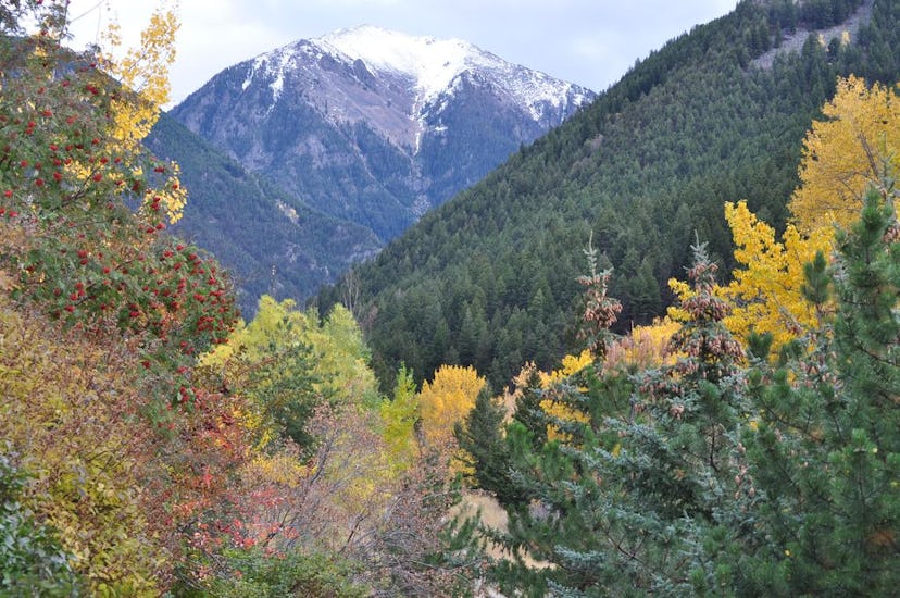 Private Creekside Retreat (Pray, Montana)