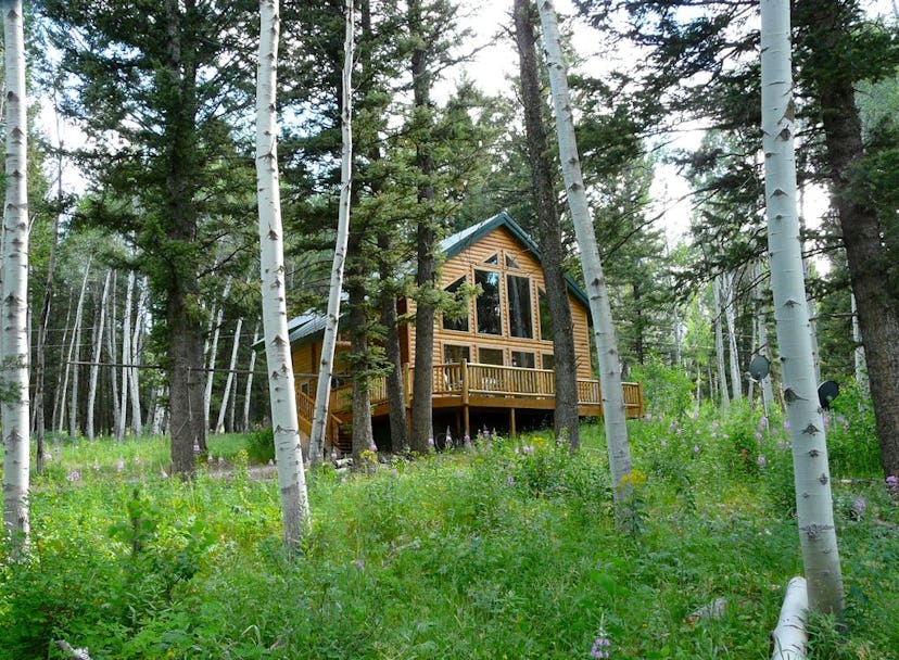 Cabin-In-The-Woods by Henry's Lake (Island Park, Idaho)