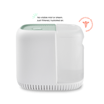 Canopy X Lalo Humidifier w/ Filter Subscription