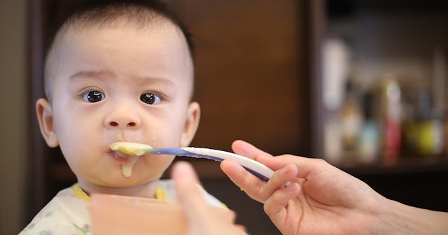 baby food makers