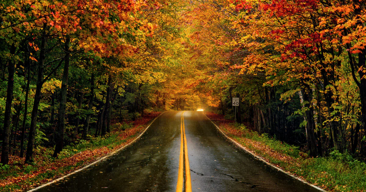 Unpopular Opinion: I Actually Love The Dark, Cold Days Of Fall And Winter