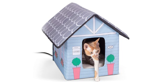 heated cat house