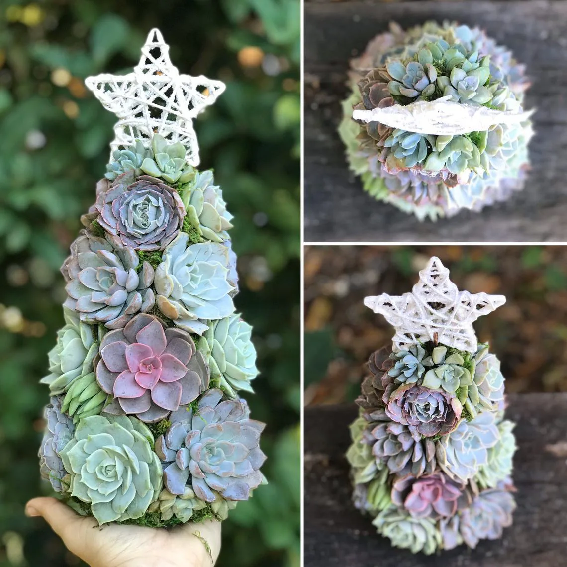 Succulent Christmas Trees Are The Low-Maintenance DIY Holiday Decor You Need