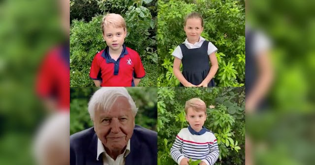 royal kids david attenborough