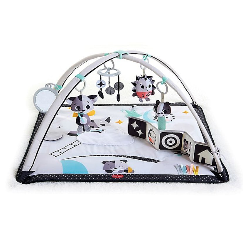 Tiny Love Gymini Infant Activity Play Gym