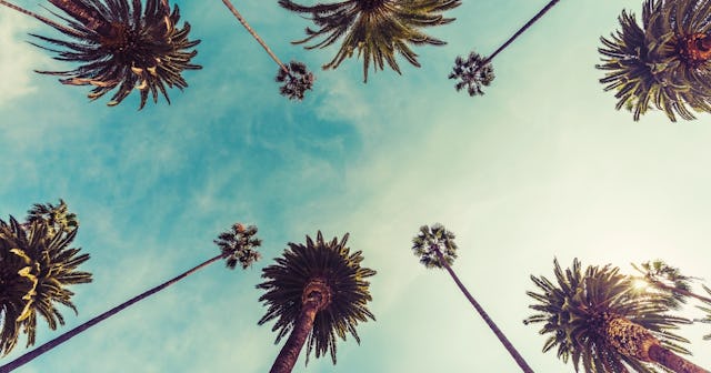 california Quotes