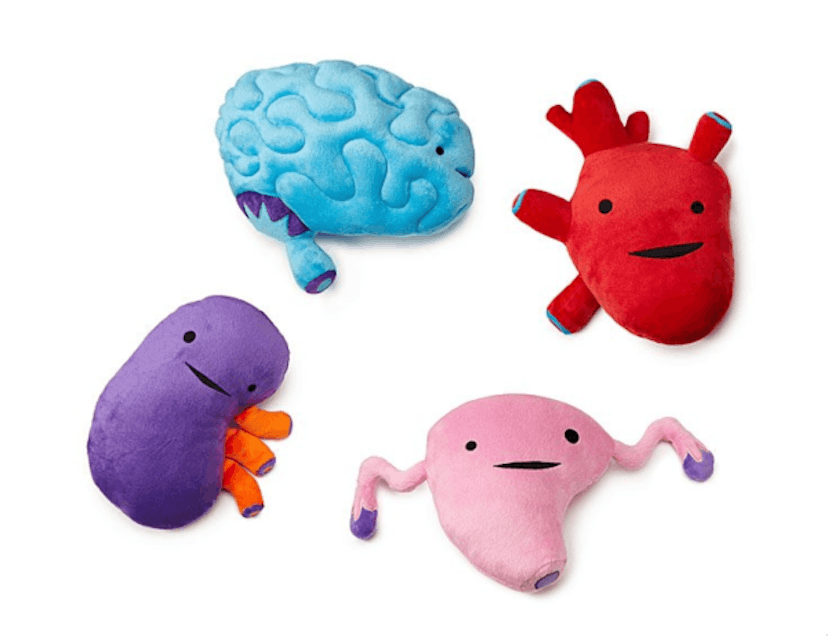 Plush Organs