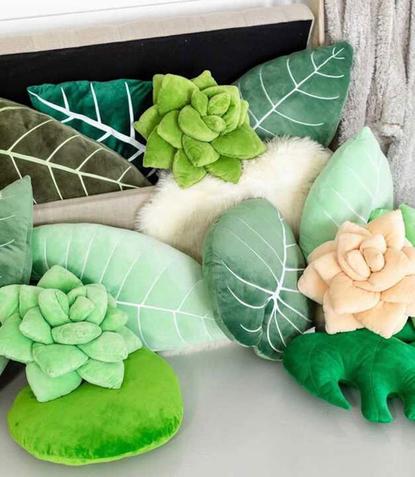 Green Philosophy Succulent Pillows