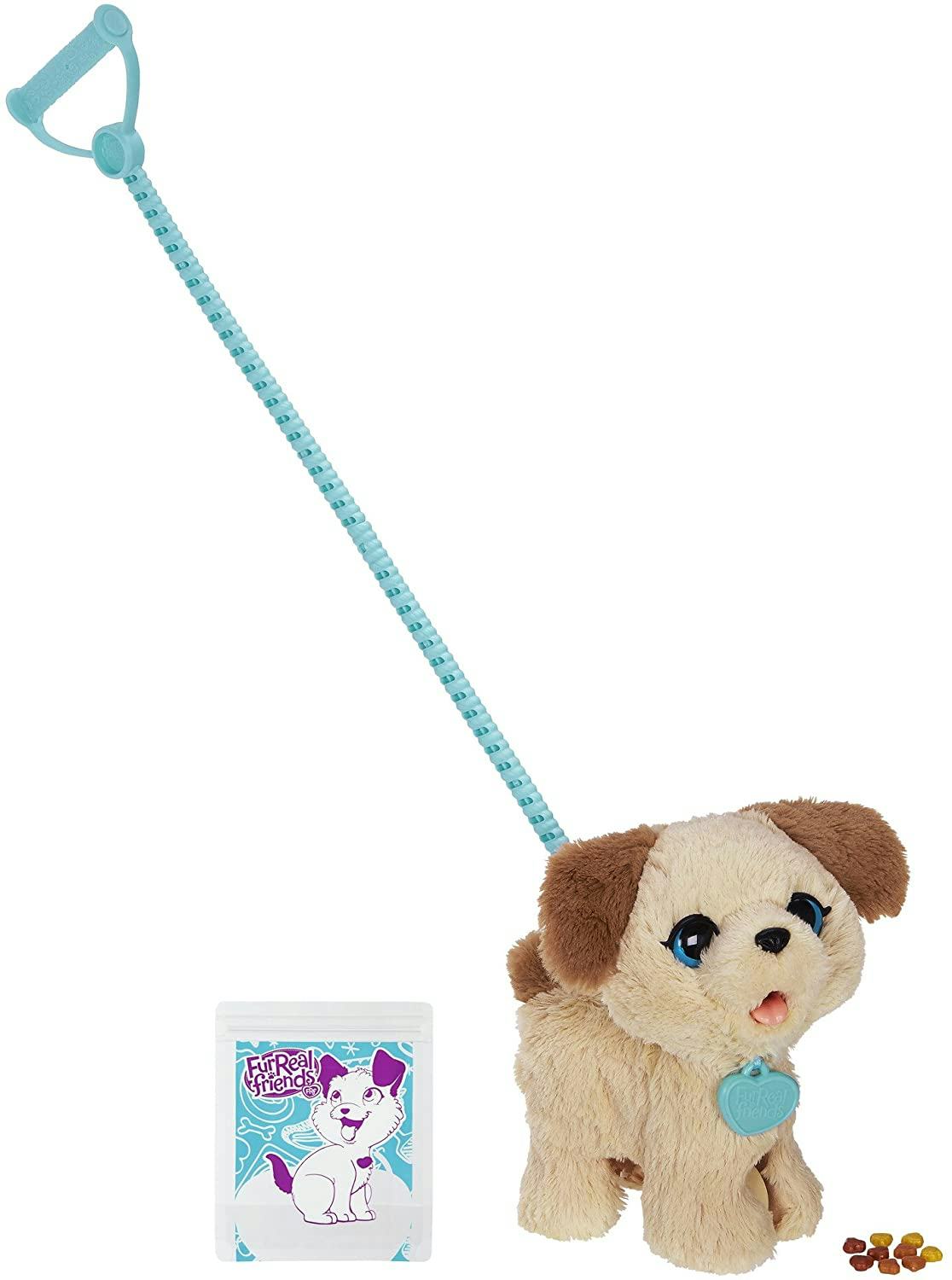 puppy on a lead toy