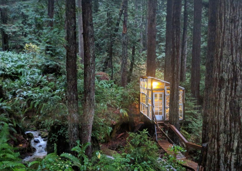 Two Rustic Cabins in the Redwoods