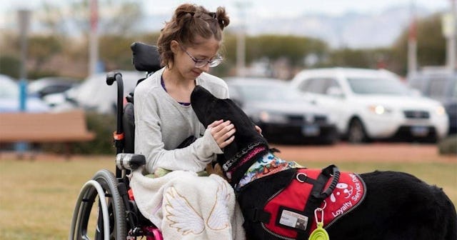 A service dog and a girl with a chronic illness in a wheelchair cuddling.