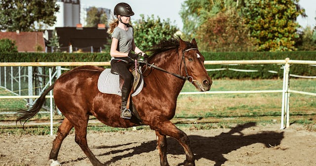 horse gifts