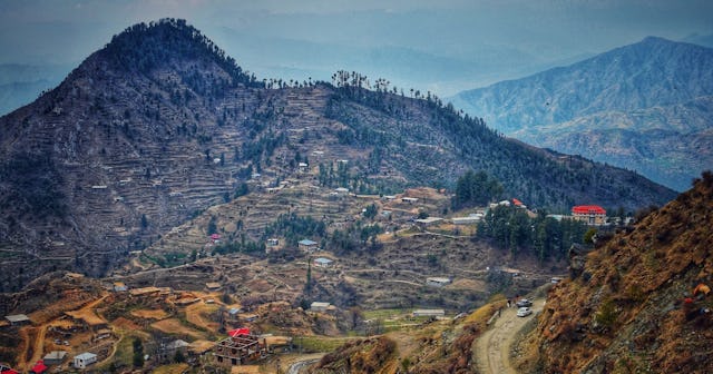 Pakistani Last Names