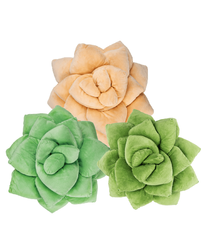 Succulent Plush Bundle