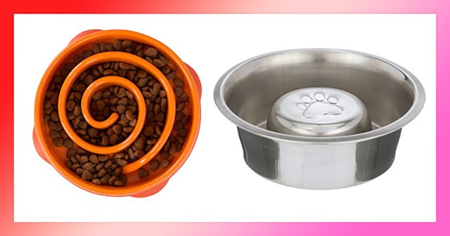 best slow feeder dog bowls