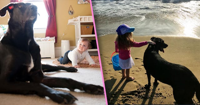 Stacy Seltzer's dog and baby are in a room on the left; Stacy's daughter is petting her dog on the b...