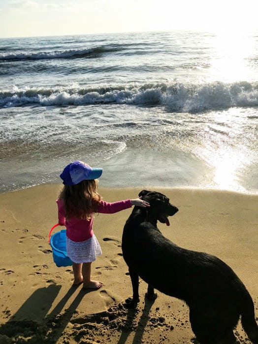 Stacy Seltzer's daughter in a trucker cap, pink shirt, and white skirt petting her dog at a beach.