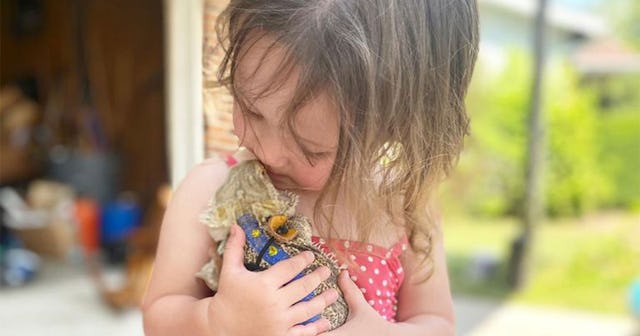 A small girl wearing a pink shirt with white dots while holding a Bearded Dragon pet and kissing it
