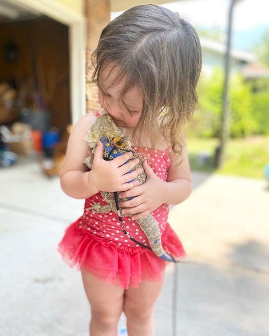 A small girl wearing a pink shirt and skirt with white dots while holding a Bearded Dragon pet and k...