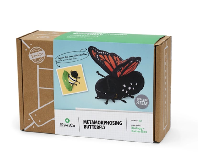 KiwiCo Metamorphosing Butterfly