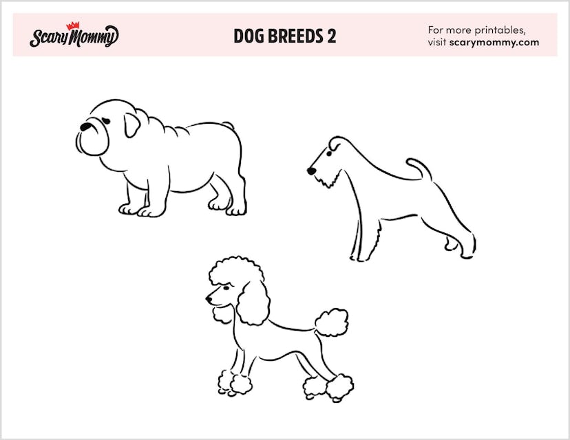 Dog Breeds Printable 2