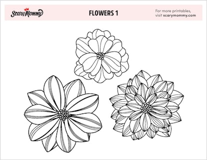 Flower Coloring Pages: Assorted Flowers 1