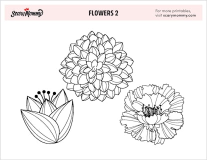 Flower Coloring Pages: Assorted Flowers 2
