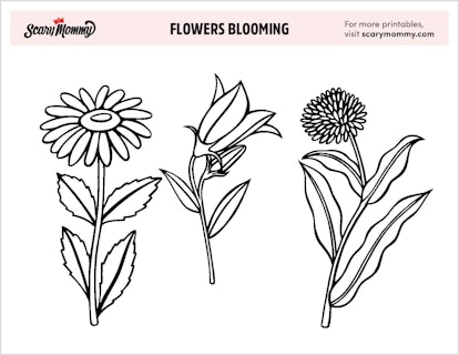 Flower Coloring Pages: Flowers Blooming