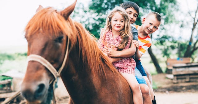 Horse Coloring Pages